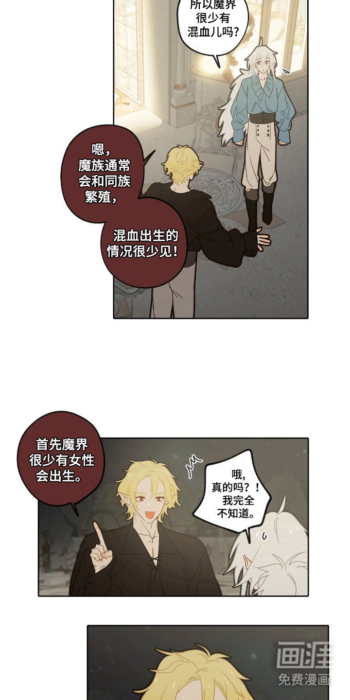 第16章：外形变化