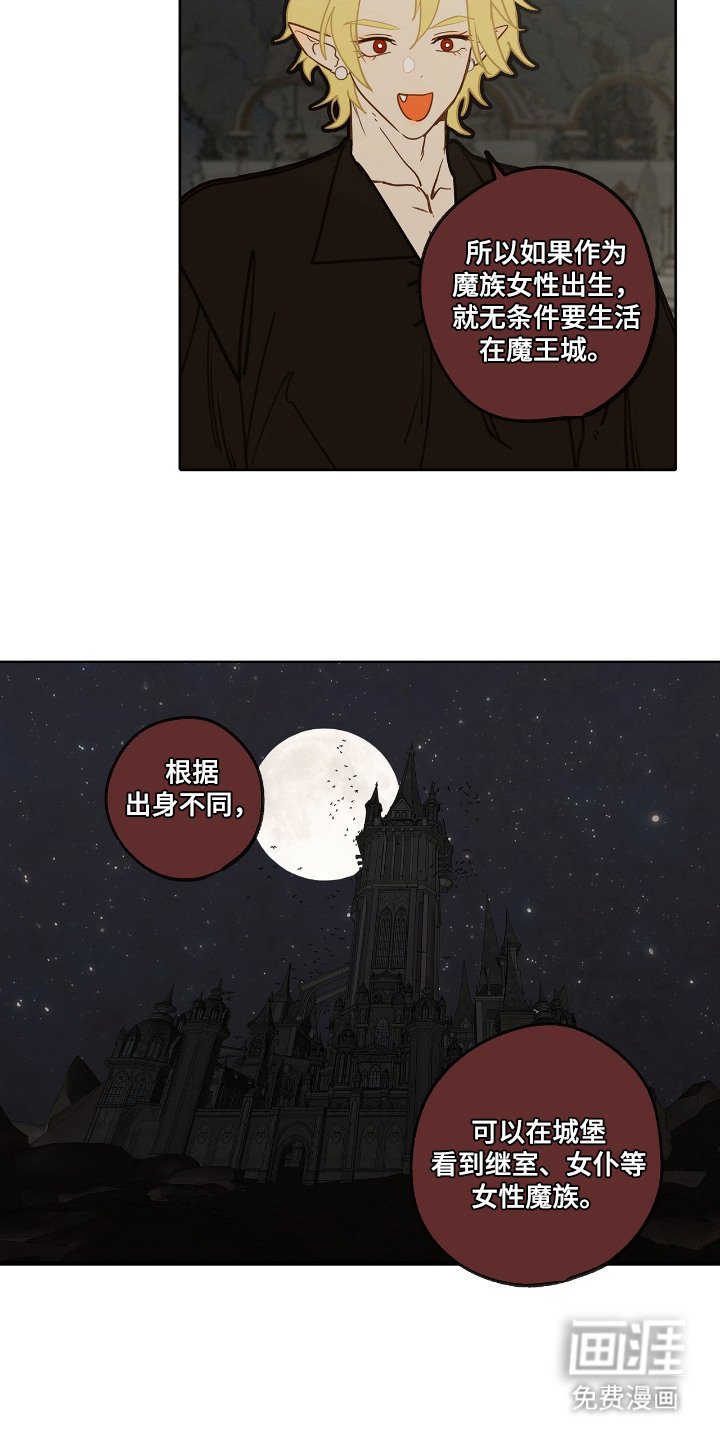 第16章：外形变化