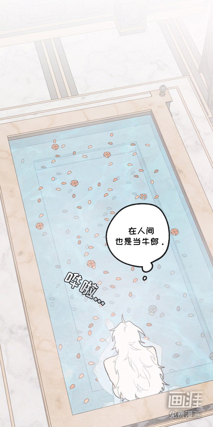 第25章：搓澡