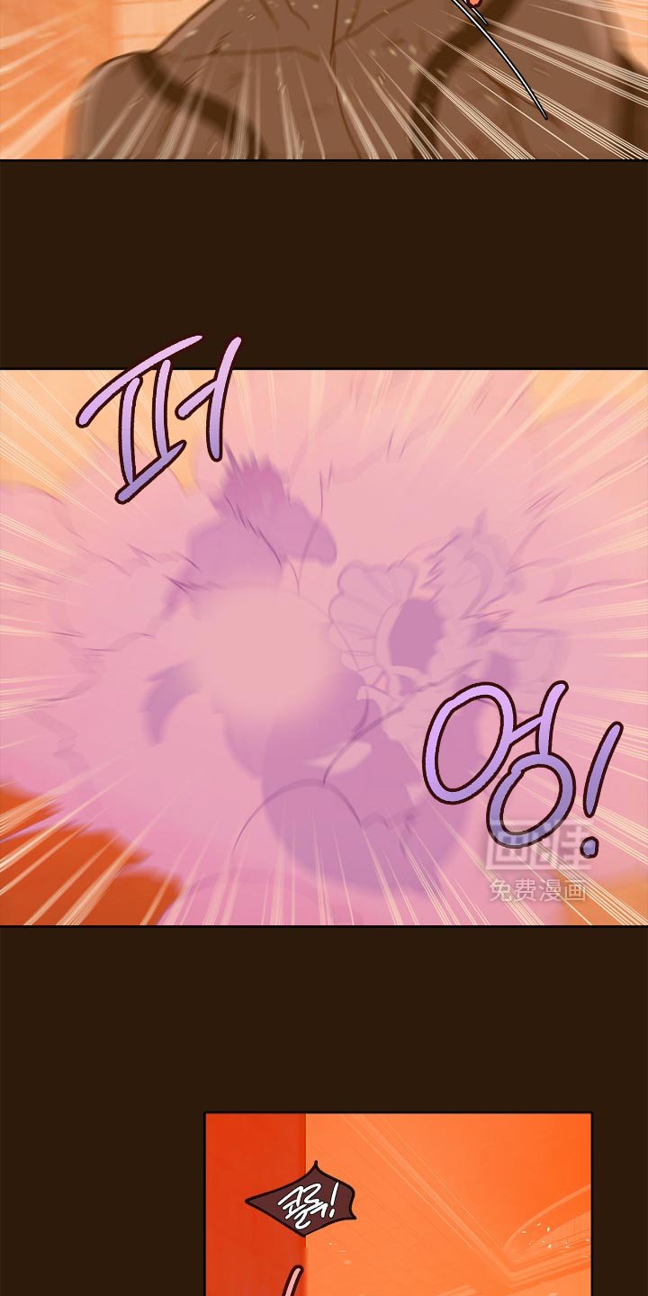 第29章：爆炸的声音
