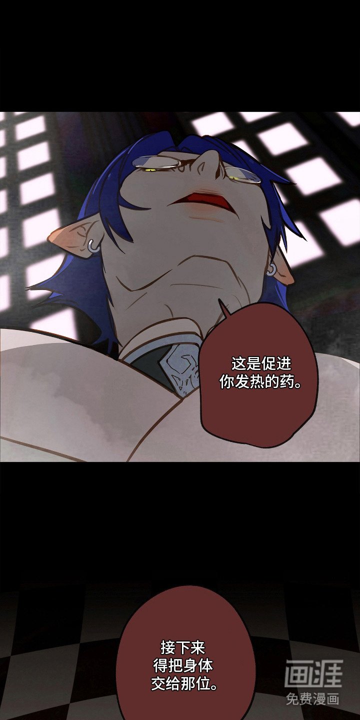 第3章：禽兽