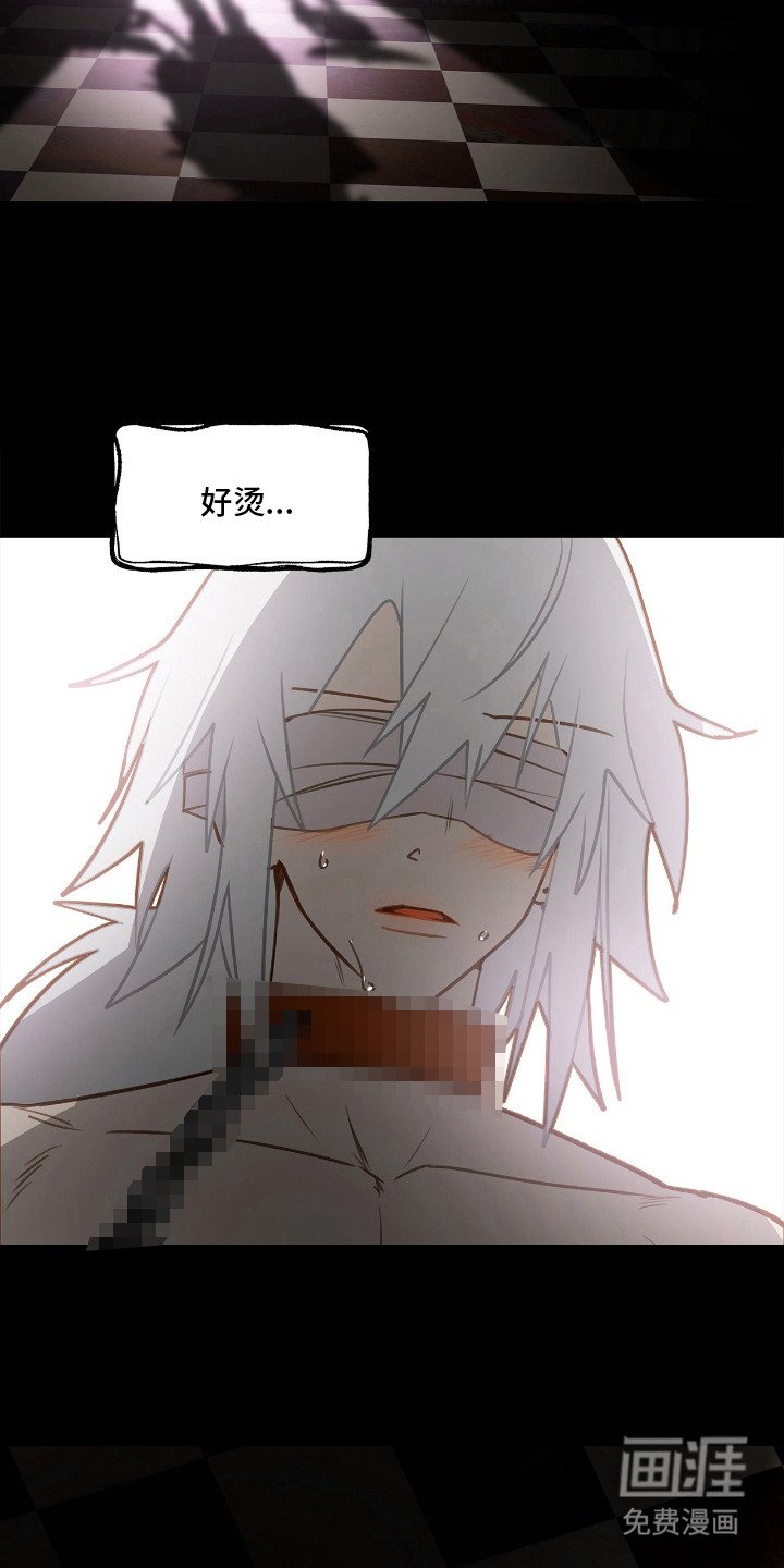 第3章：禽兽