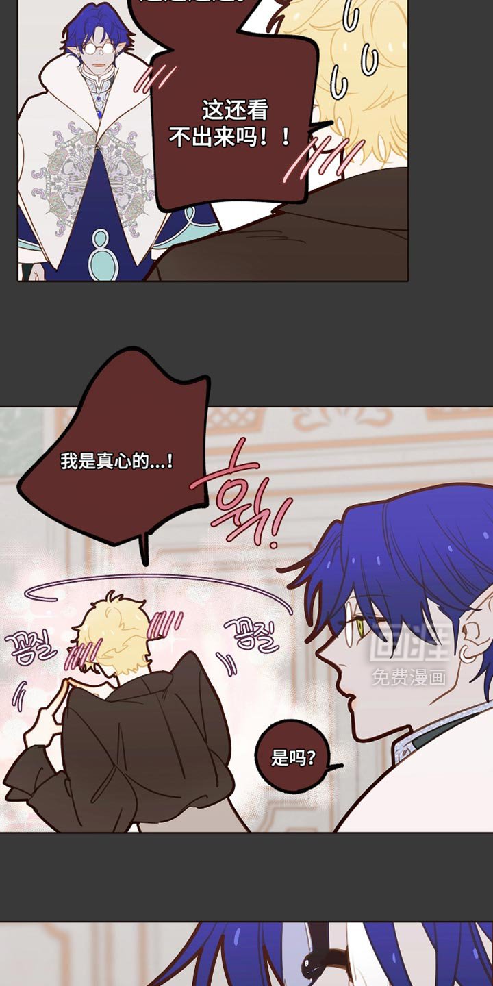 第34章：真气人！