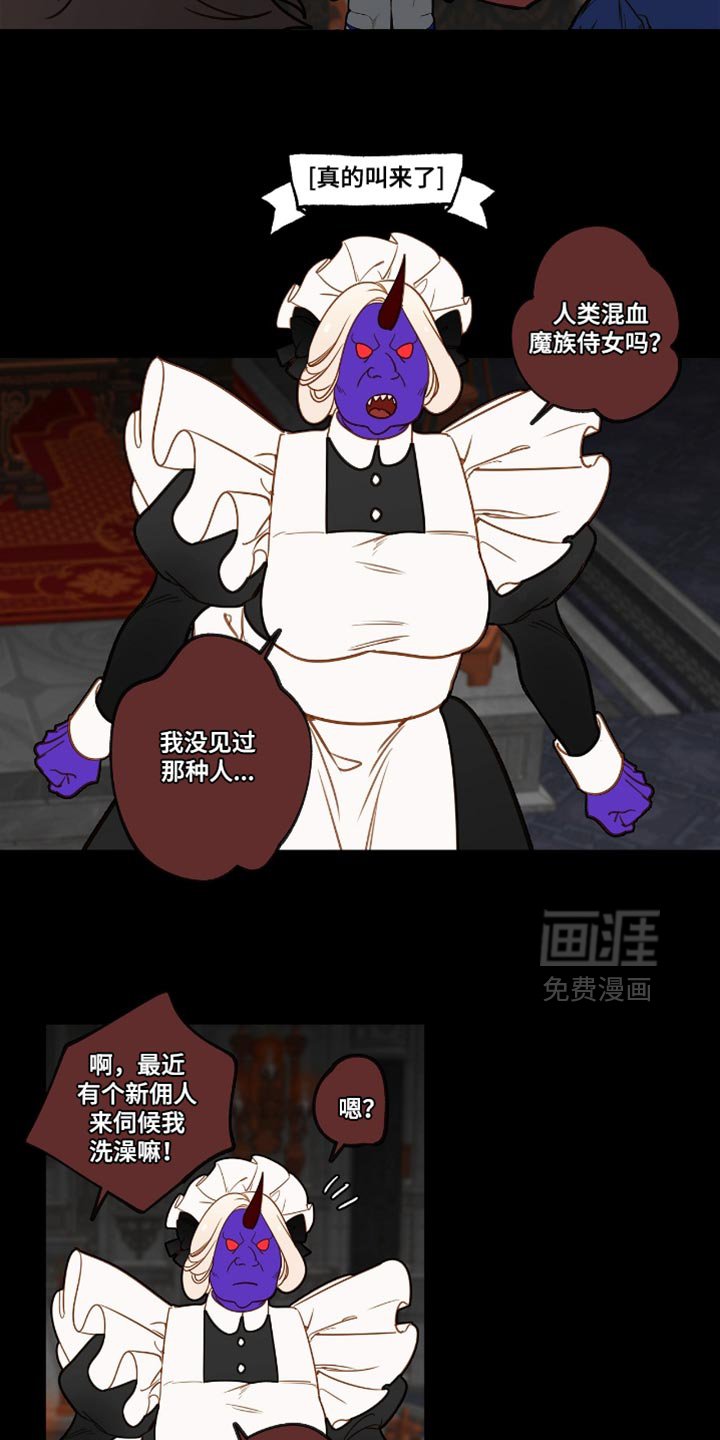 第40章：新来的女佣