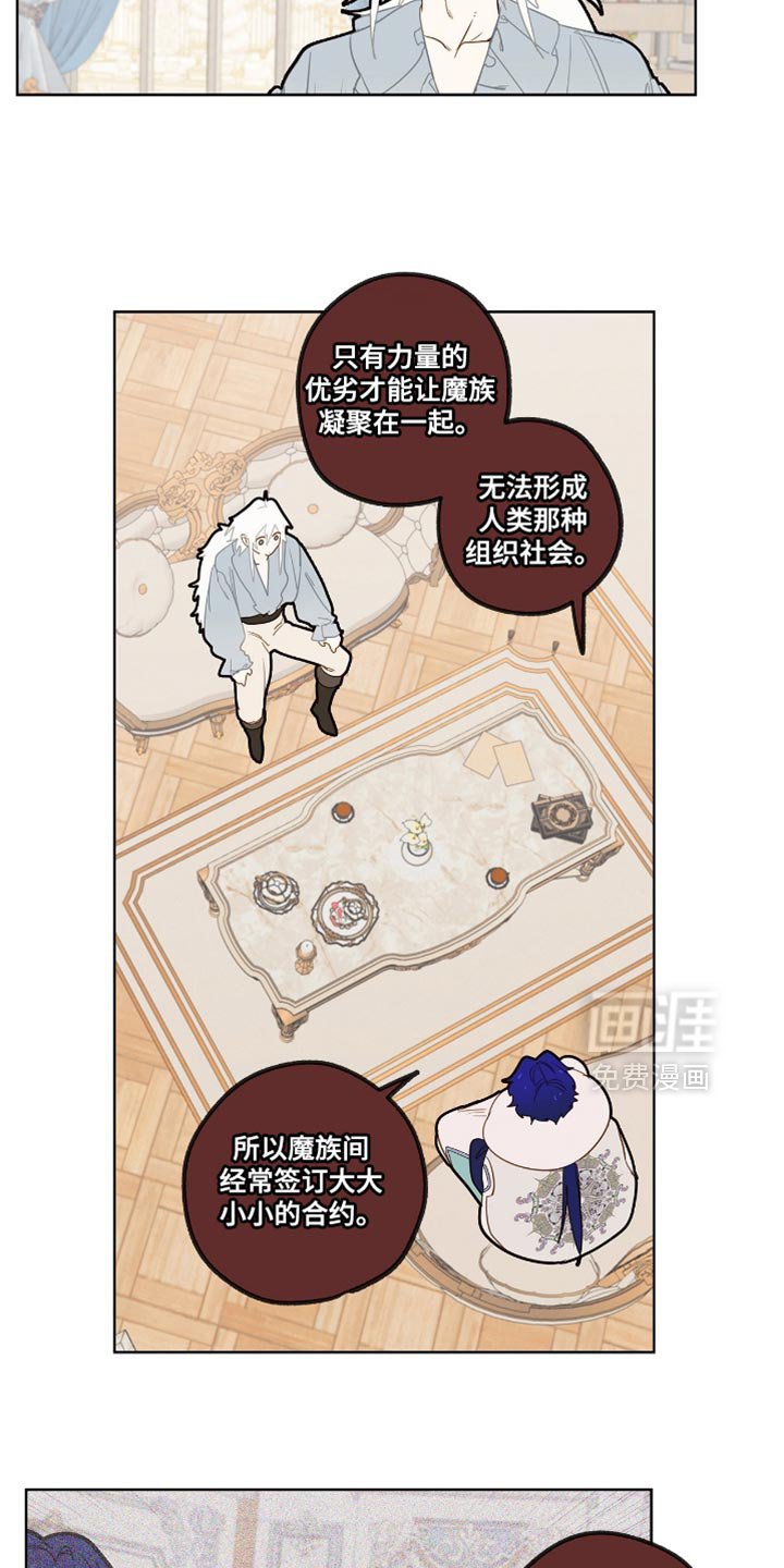 第41章：很想看到的未来
