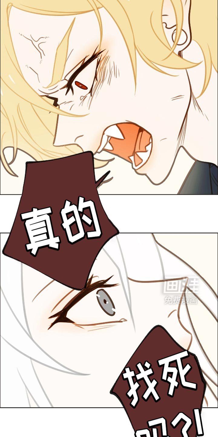 第45章：找死吗
