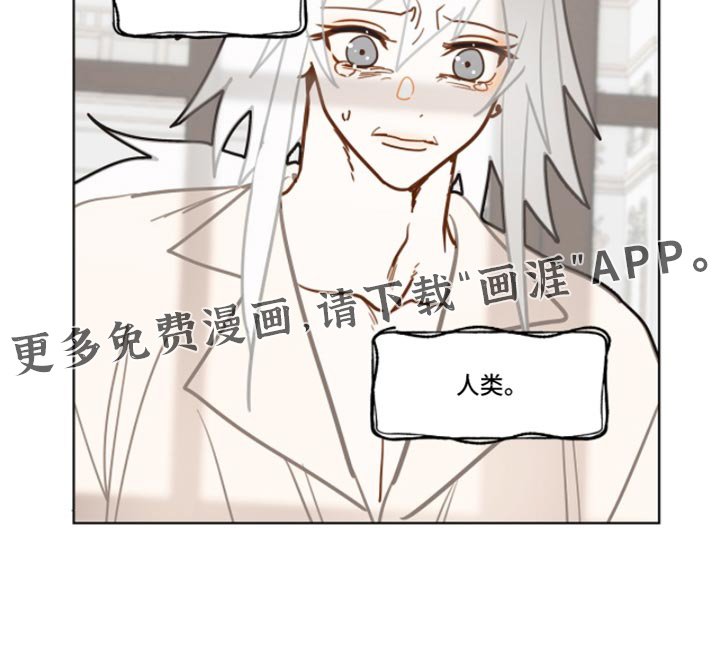 第48章：尊重