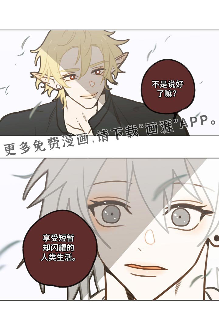 第50章：享受