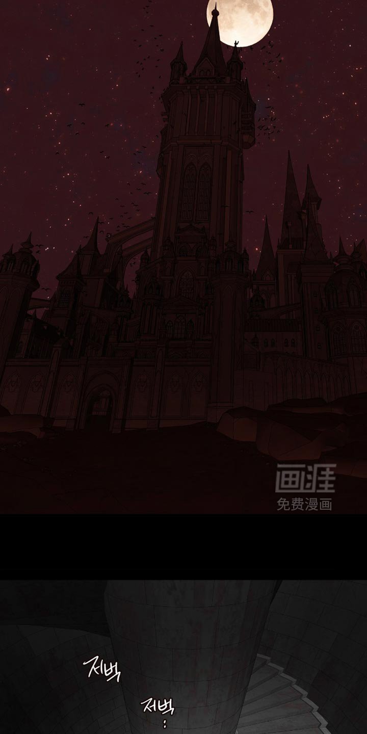 第51章：好好教育一下