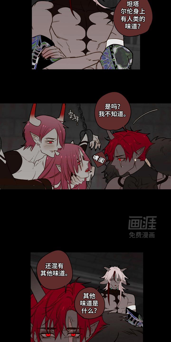 第51章：好好教育一下
