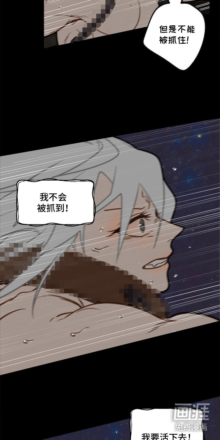 第7章：逃跑