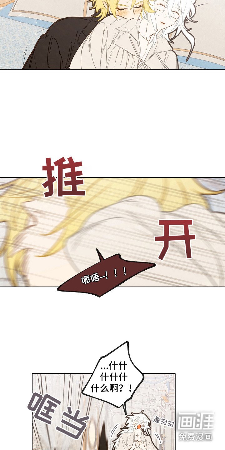 第9章：理想型