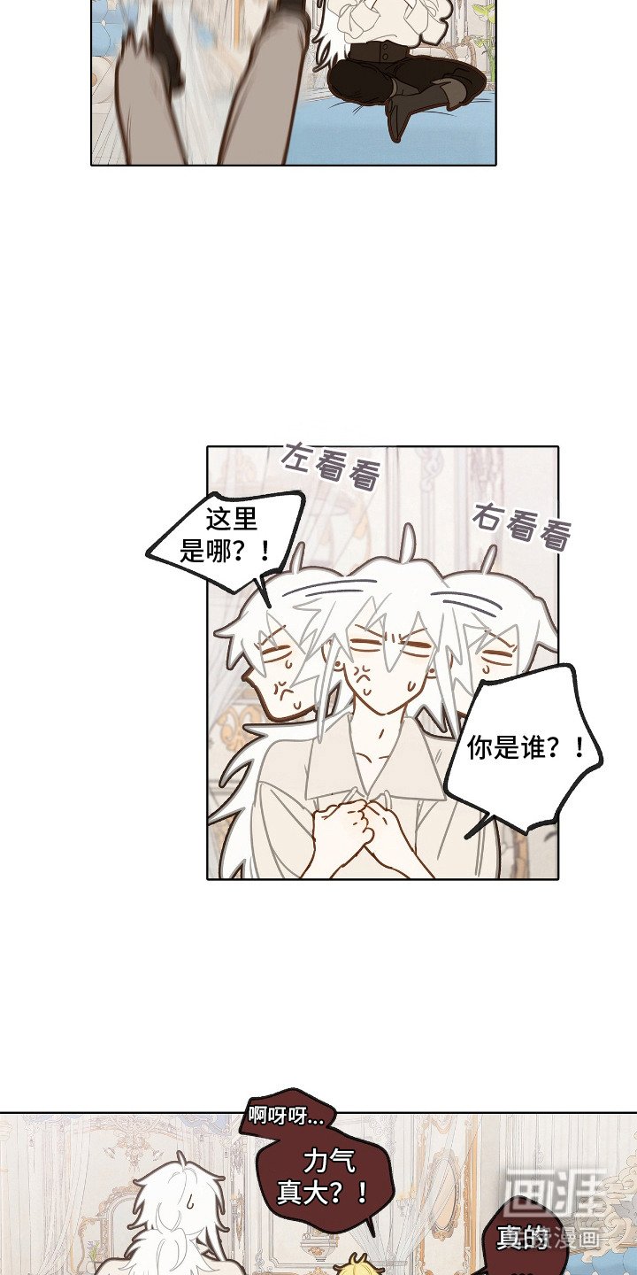 第9章：理想型