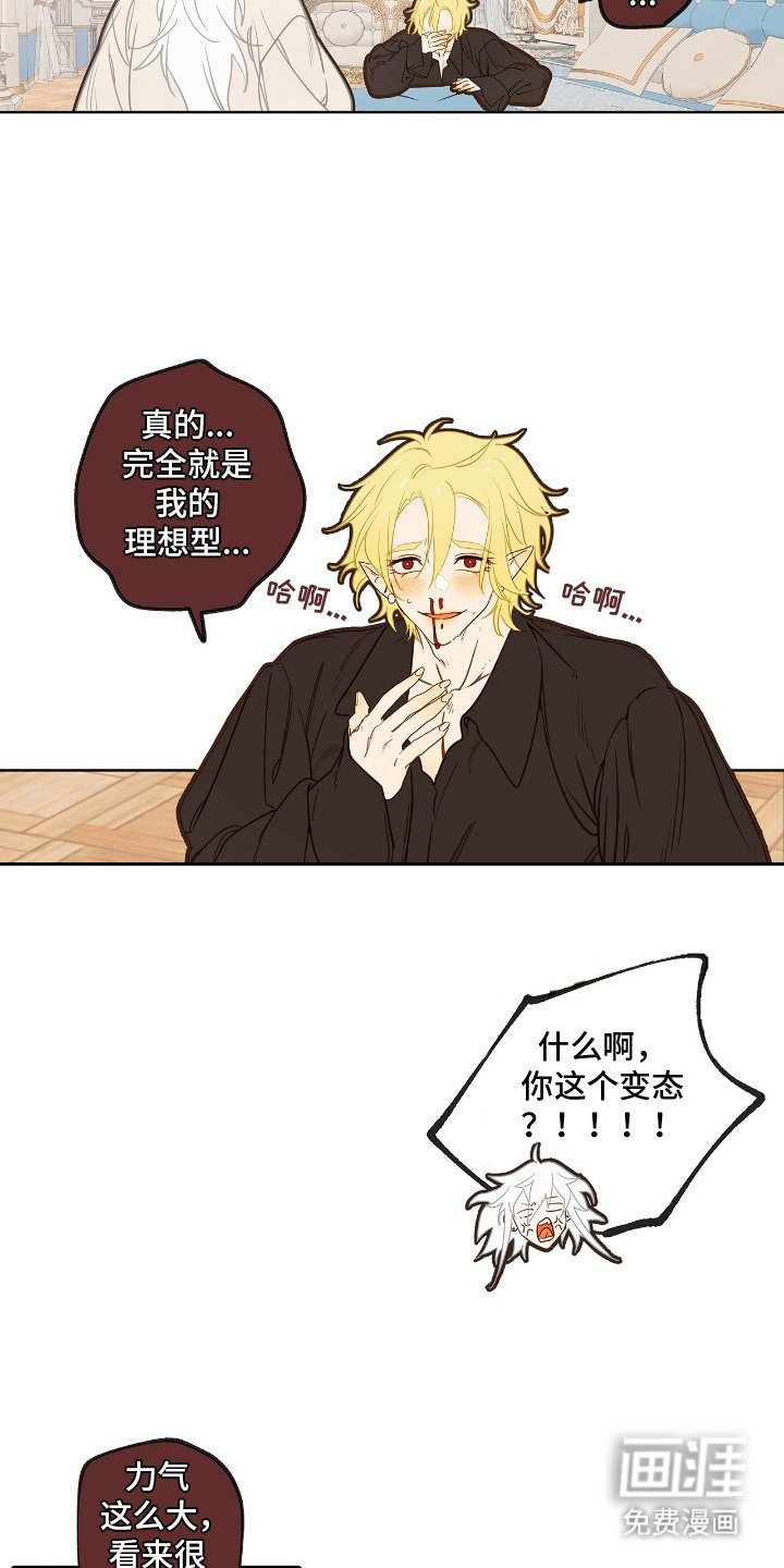 第9章：理想型