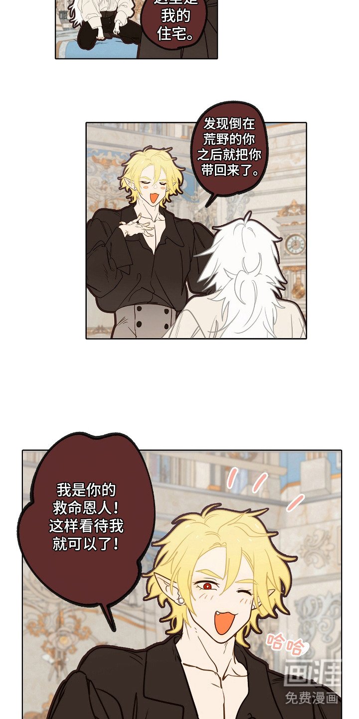 第9章：理想型
