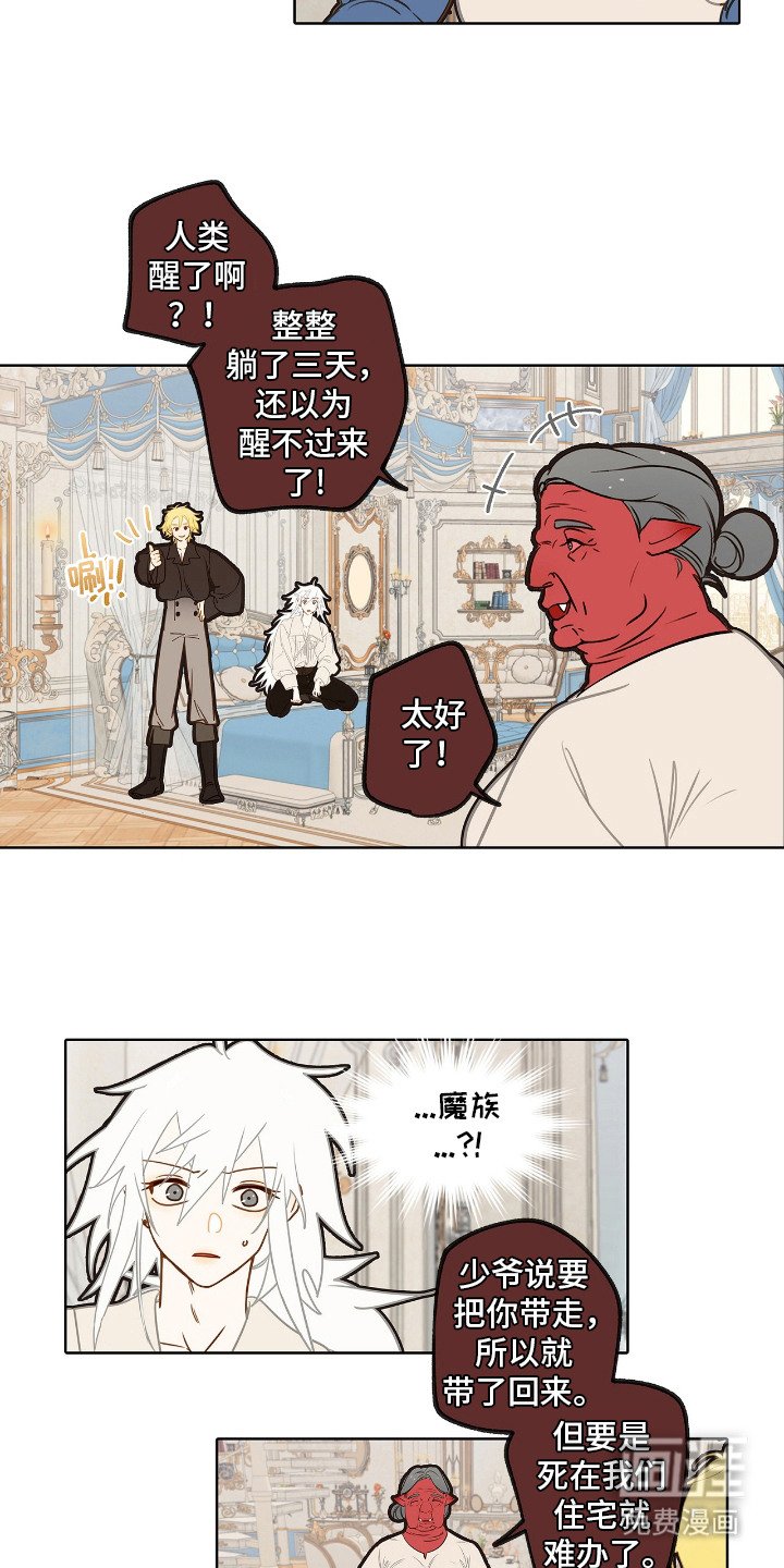第9章：理想型