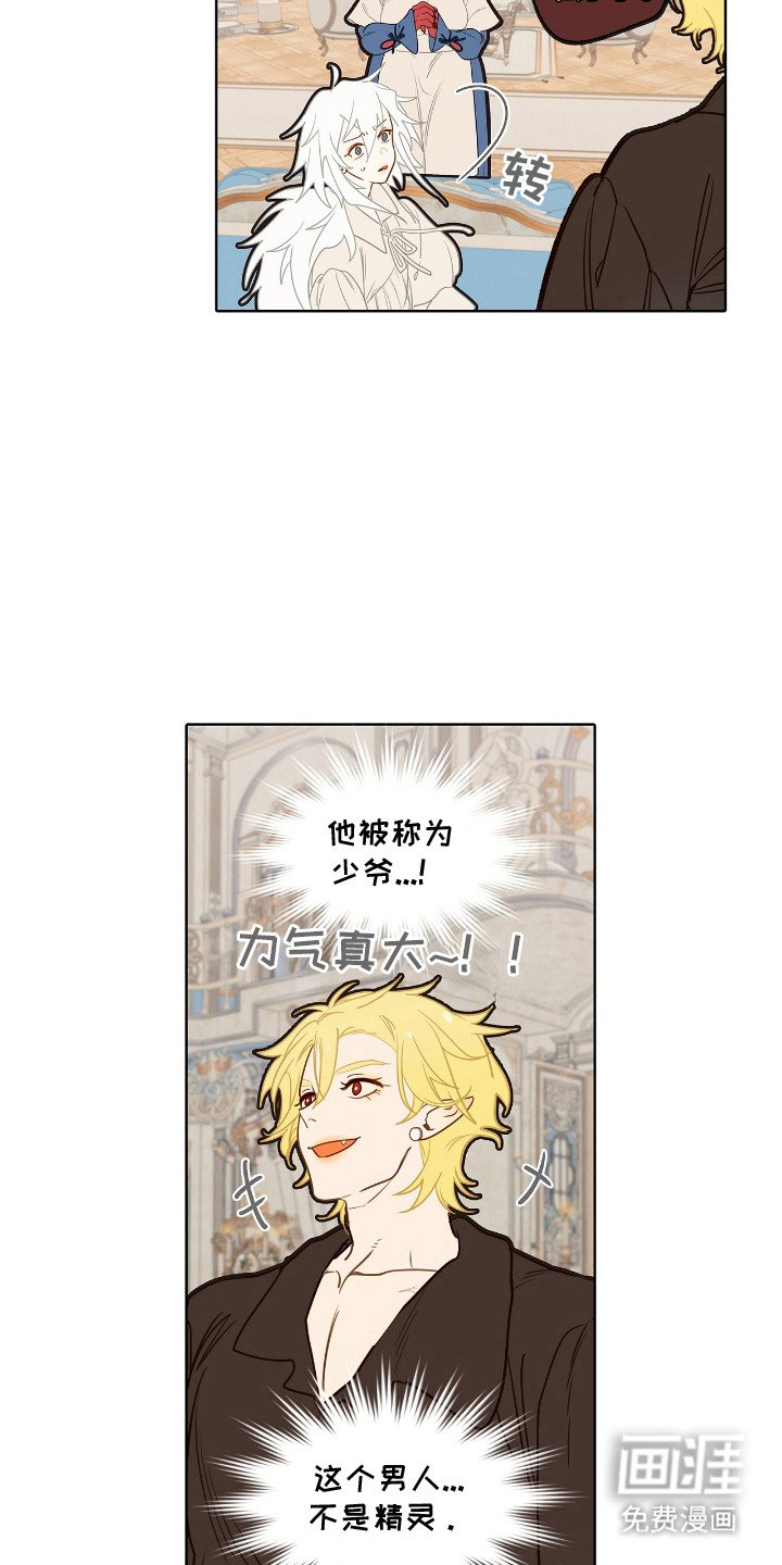 第9章：理想型