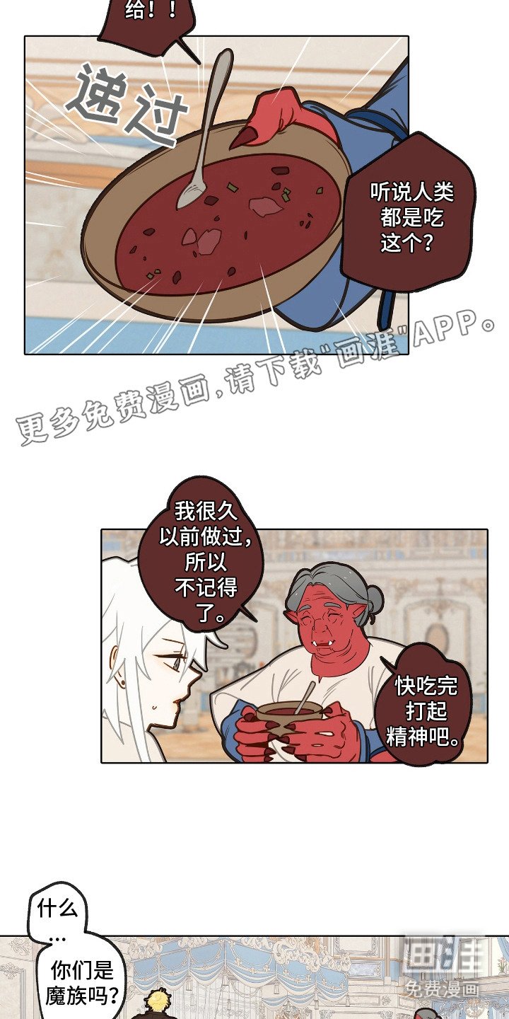 第9章：理想型