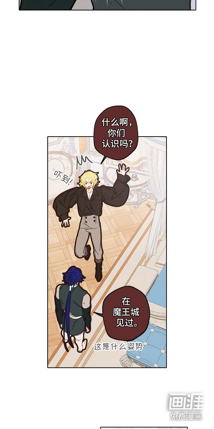 第9章：理想型