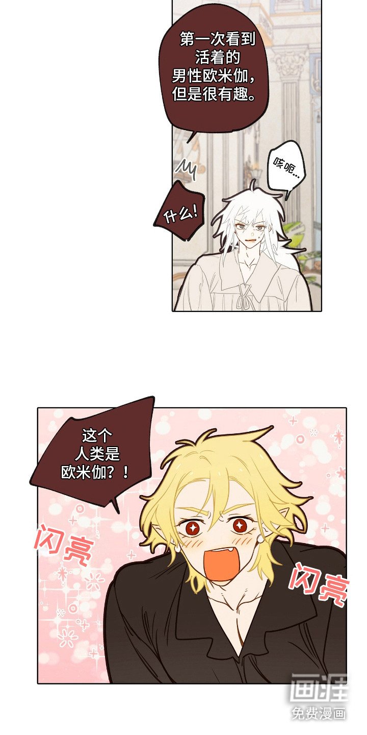 第9章：理想型