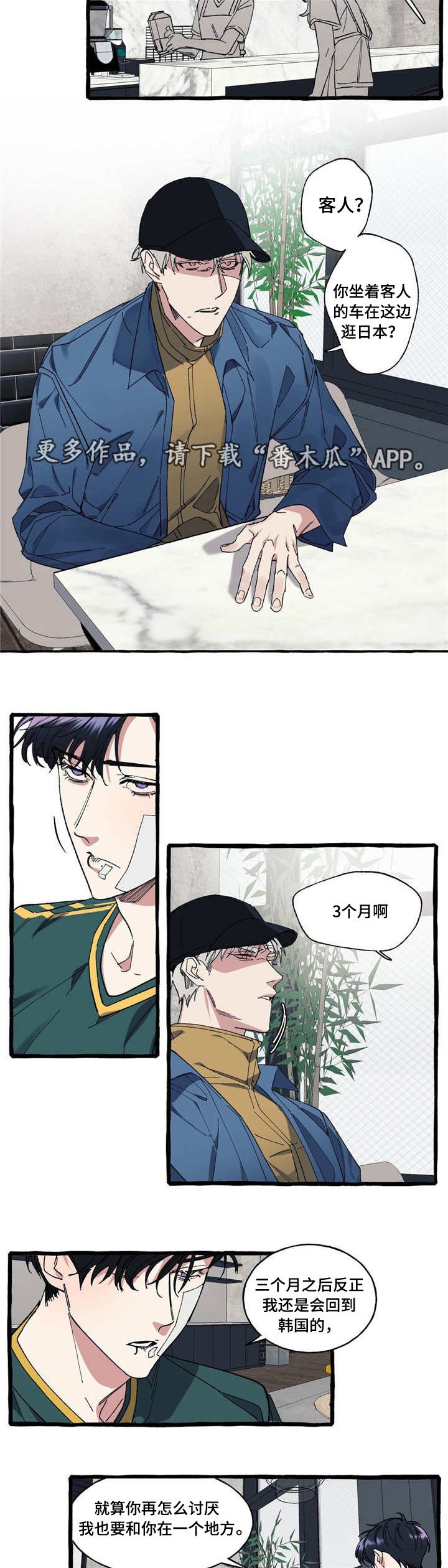 第14章：犯傻