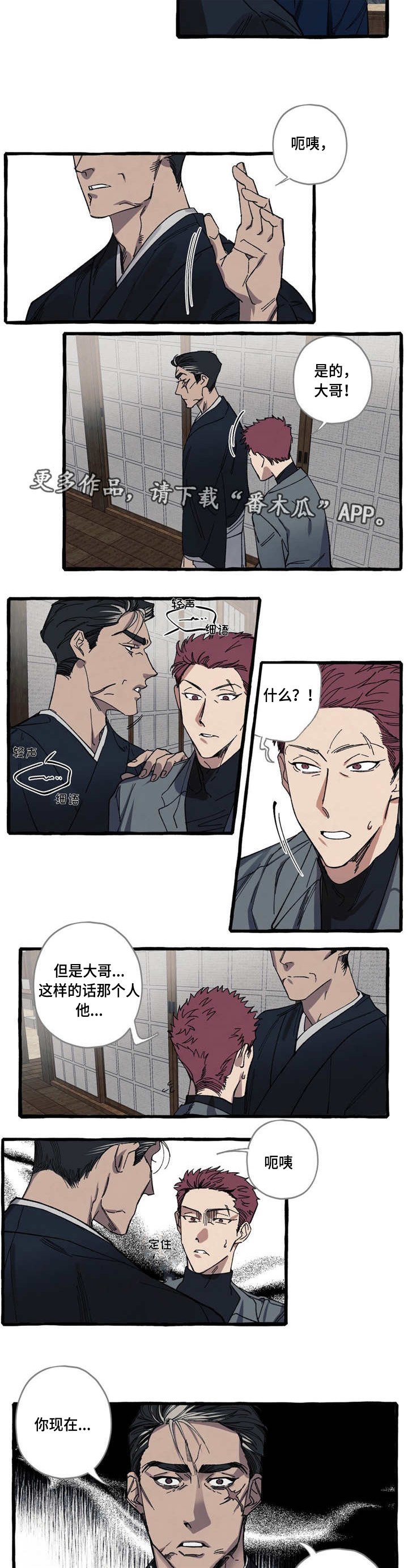 第17章：可爱