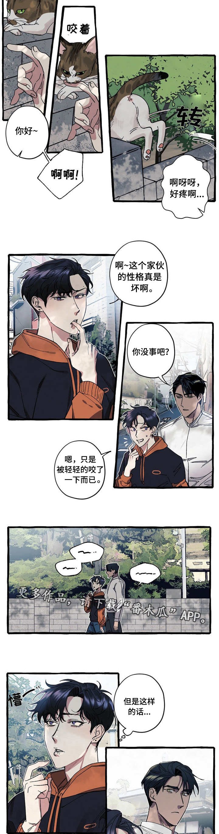 第17章：可爱