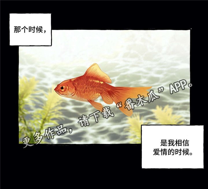 第29章：爱情
