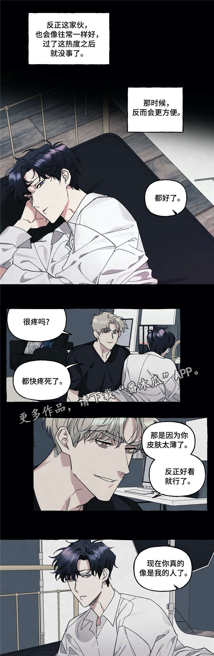 第29章：爱情