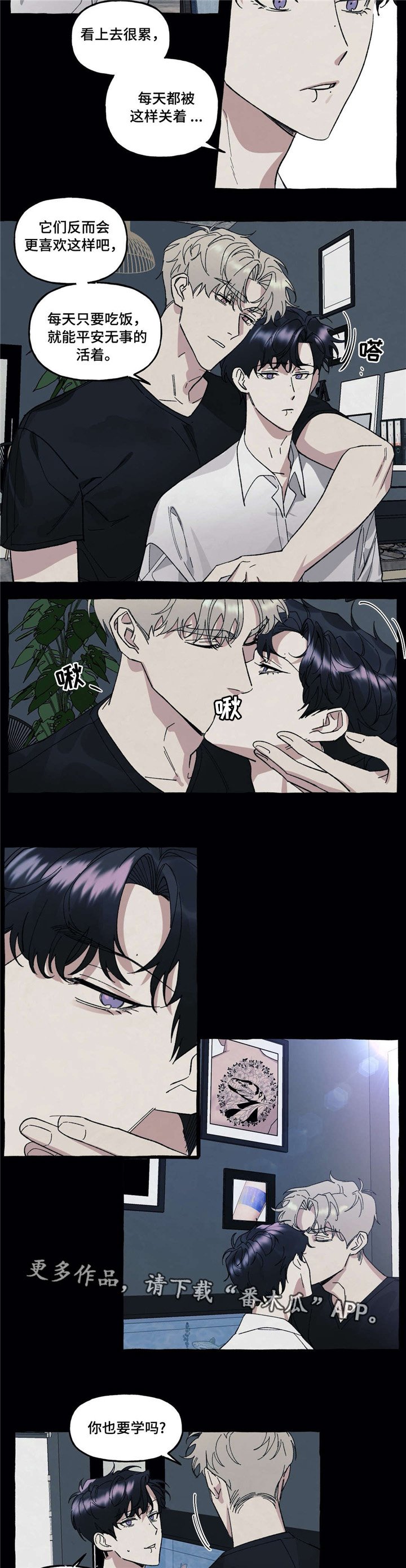 第29章：爱情