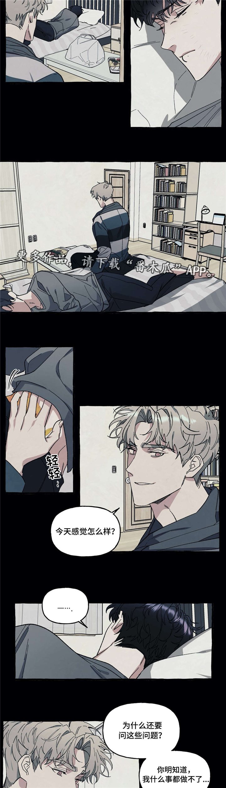 第29章：爱情