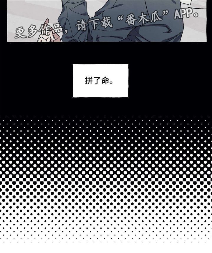 第29章：爱情