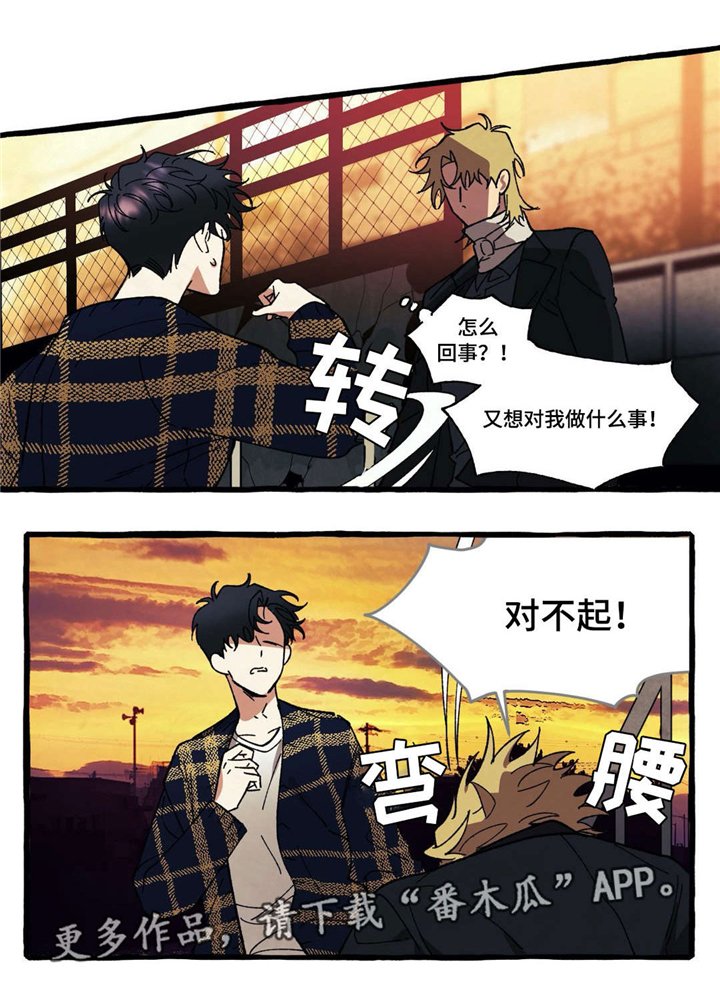 第31章：走吧