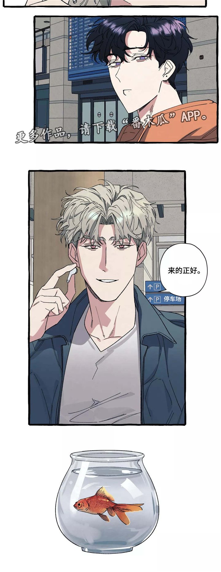 第33章：回国