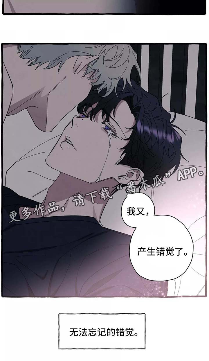 第36章：你会再次爱上我吗