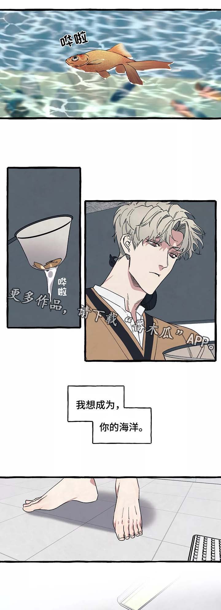 第36章：你会再次爱上我吗