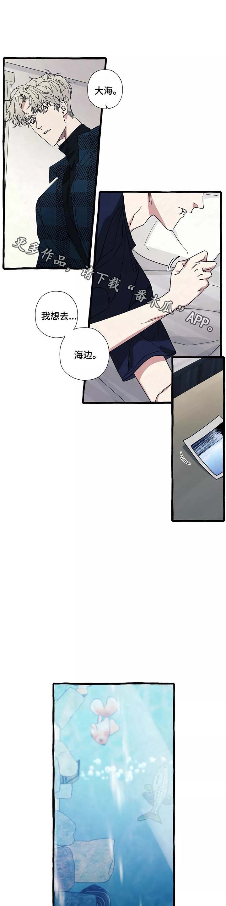 第39章：想去海边