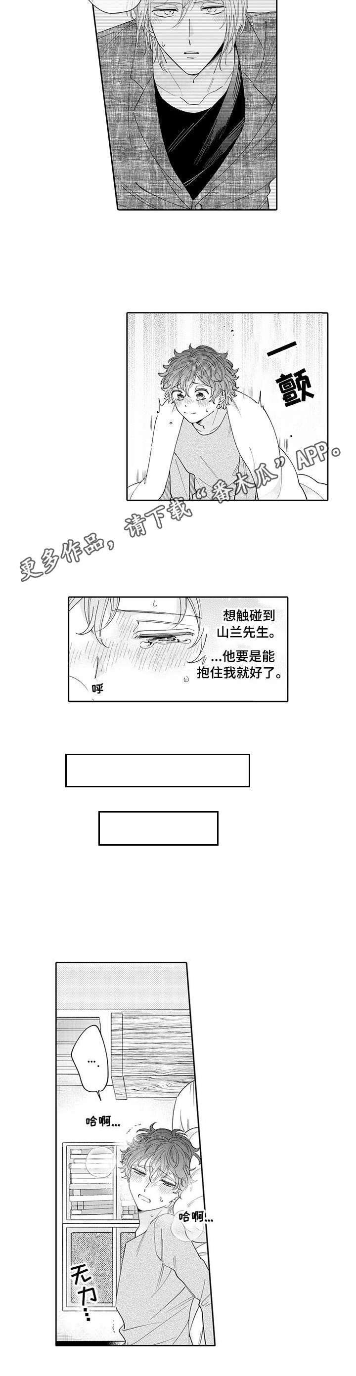 第15章：思念