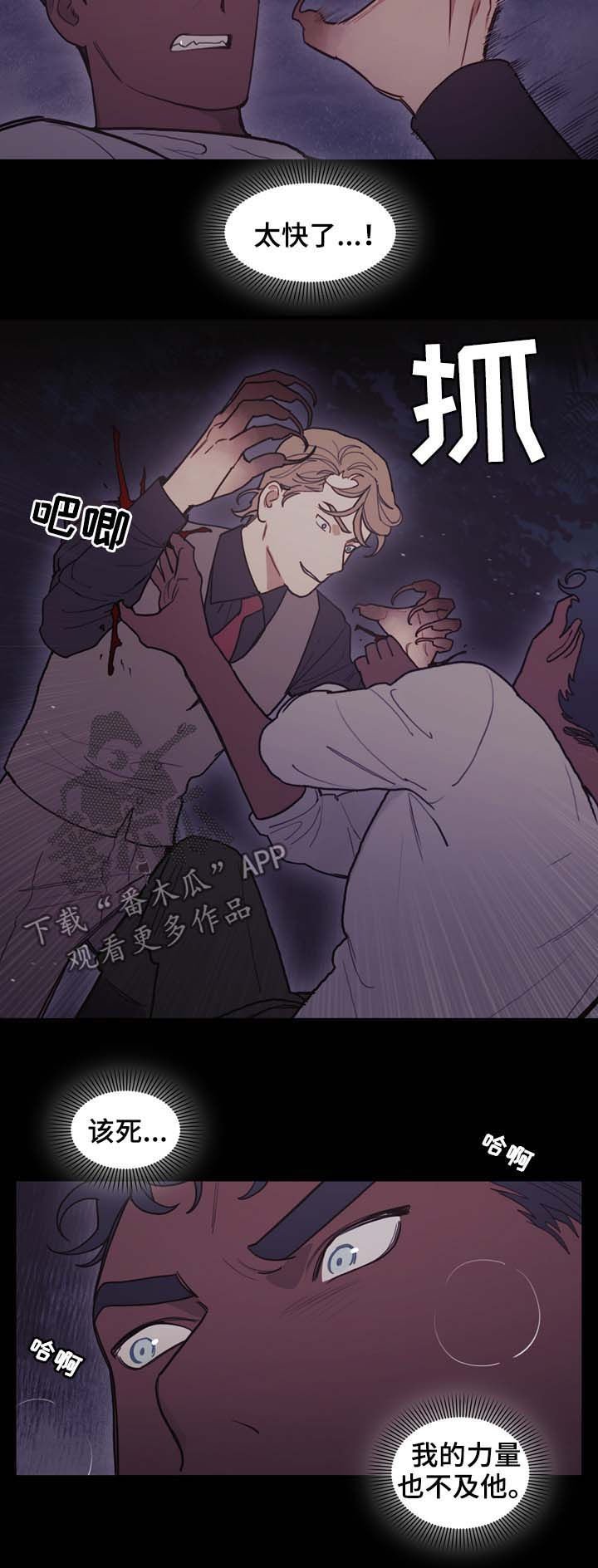 第101章：偷袭