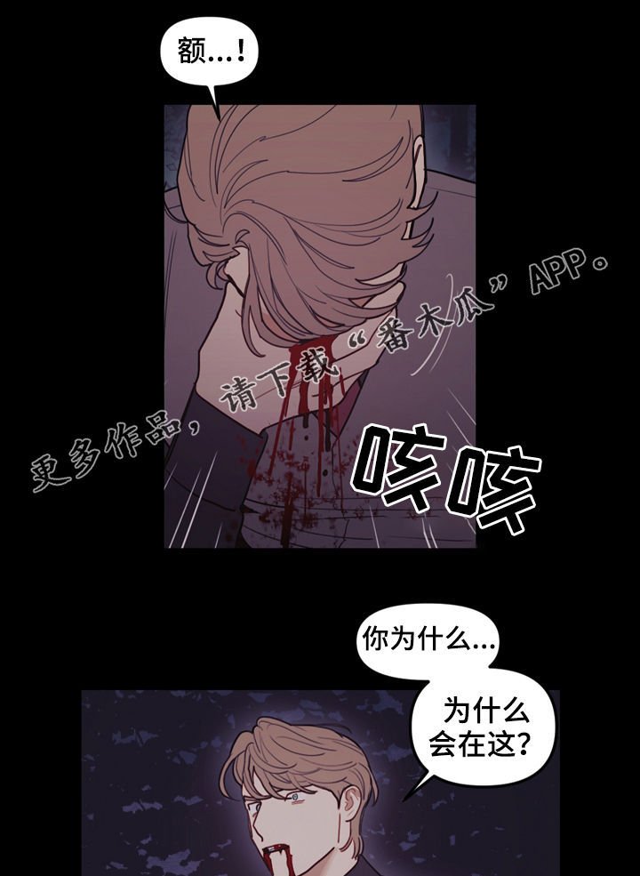 第102章：只有一个地方
