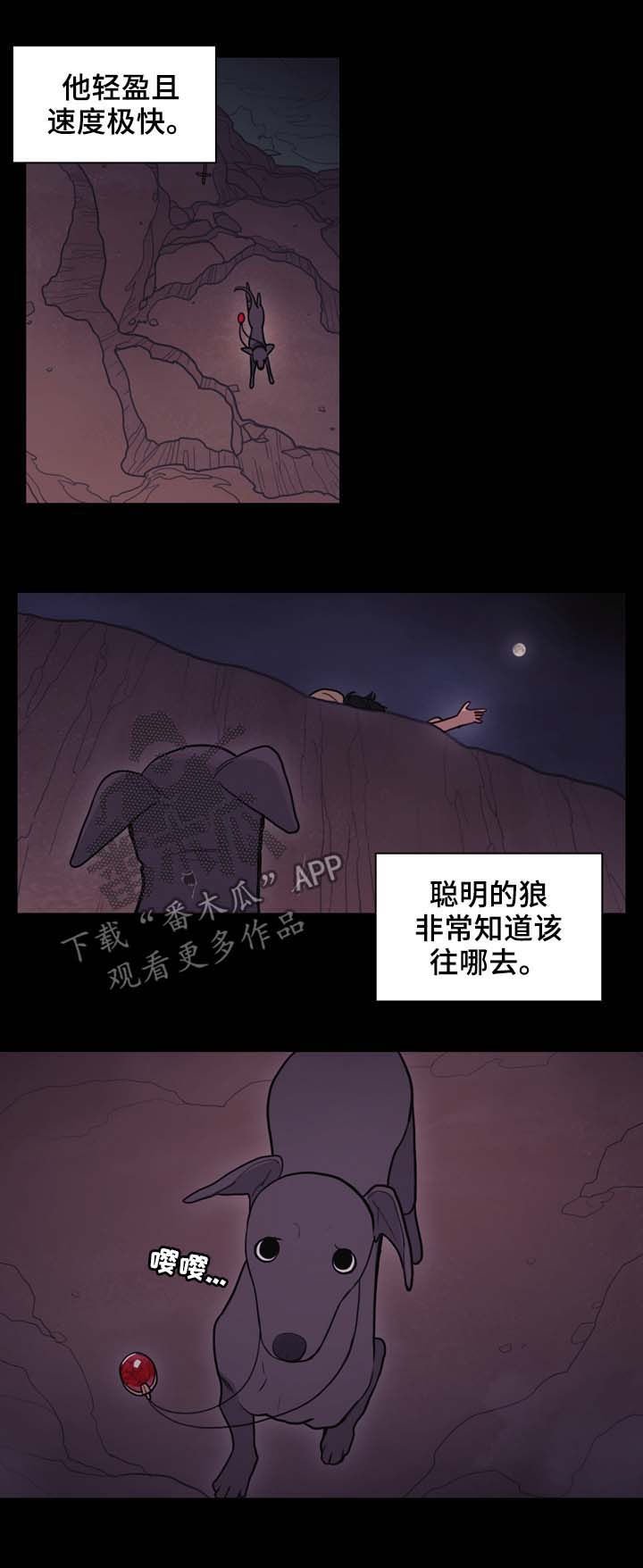 第105章：奇迹
