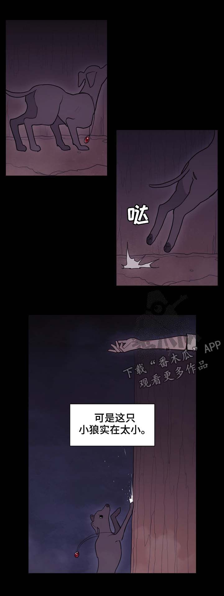 第105章：奇迹