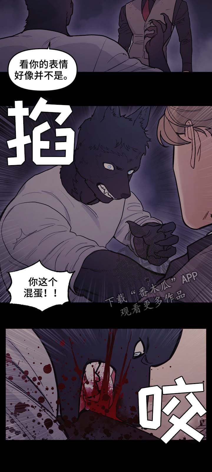 第107章：全力以赴