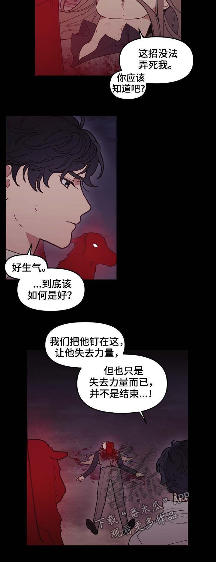 第111章：原石裂
