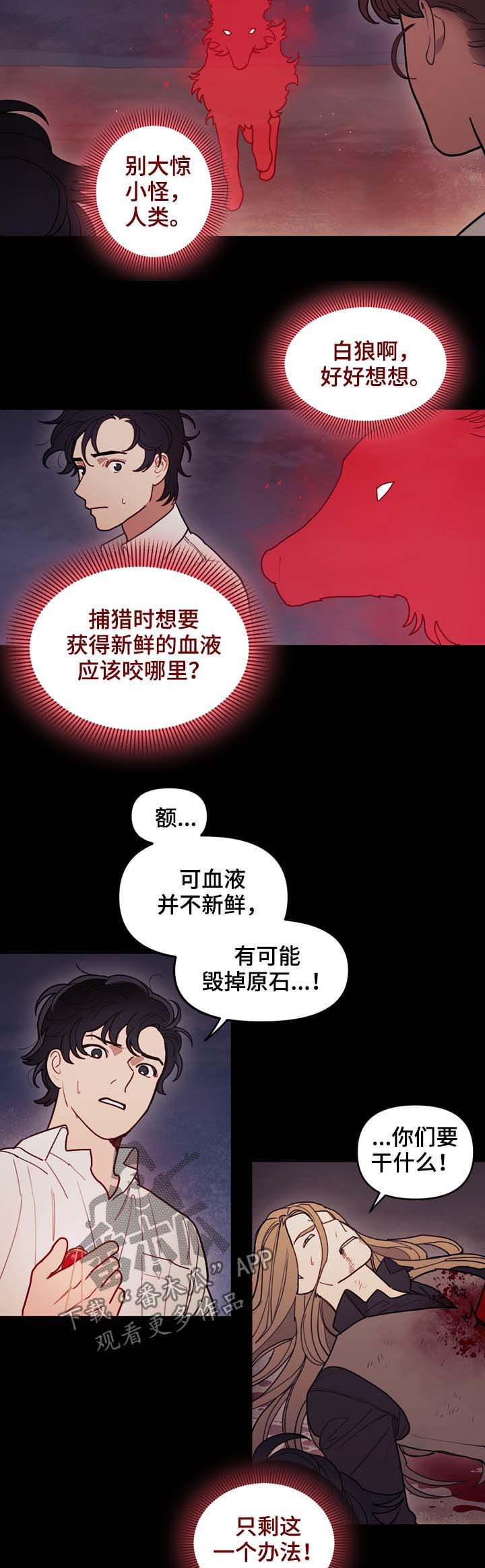 第111章：原石裂