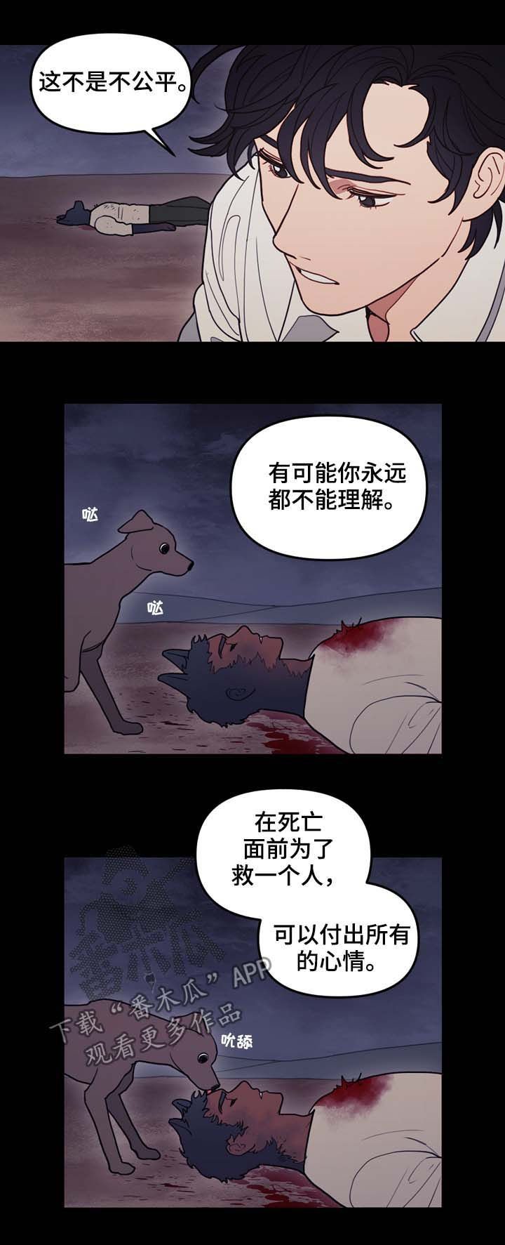 第111章：原石裂