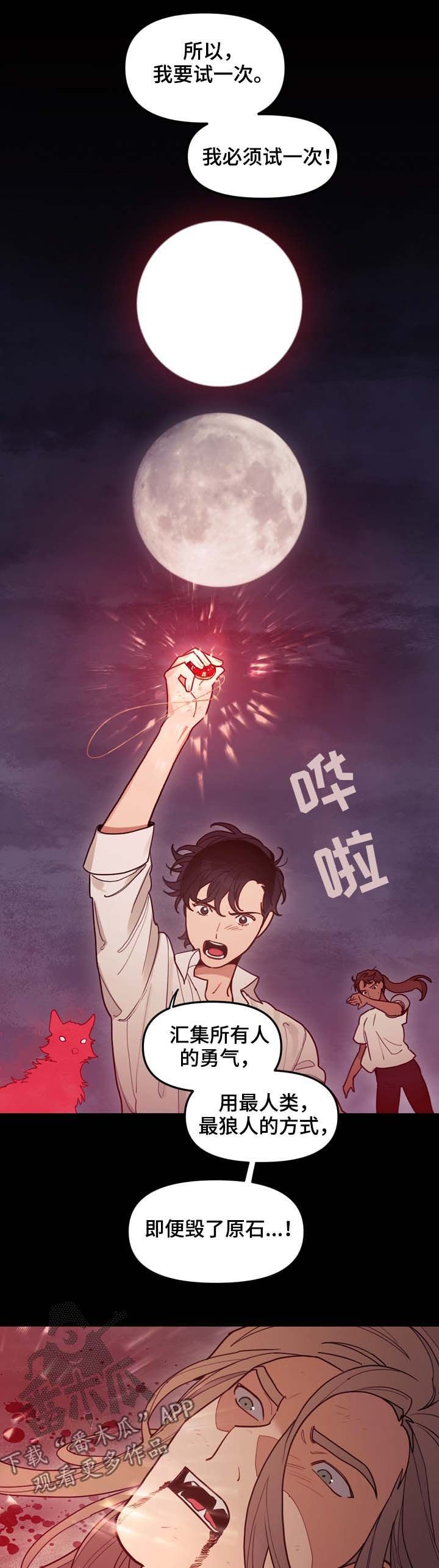 第111章：原石裂