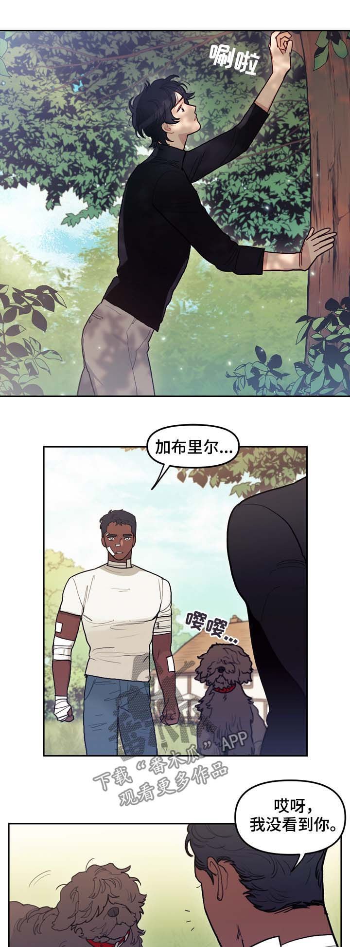 第113章：互相释怀