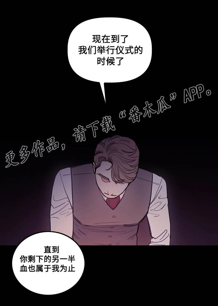 第12章：仪式