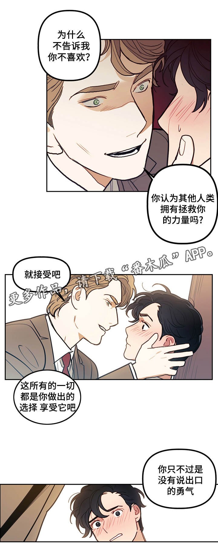 第14章：选择